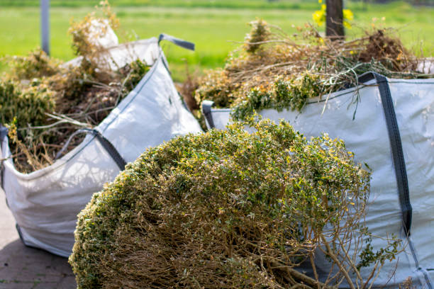 Best Furniture Removal Near Me  in Humboldt, KS